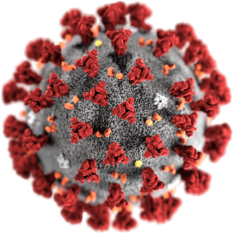 Coronavirus: sospensione delle lezioni scolastiche fino all’8 marzo